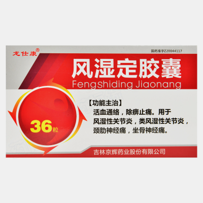 风湿定胶囊