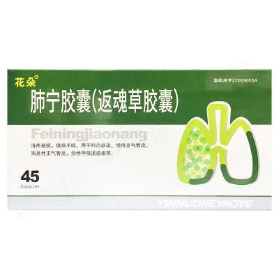 肺宁胶囊(返魂草胶囊)